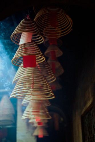 Cinestill 50D 120　 [ブローニーカラーネガフィルム]-image