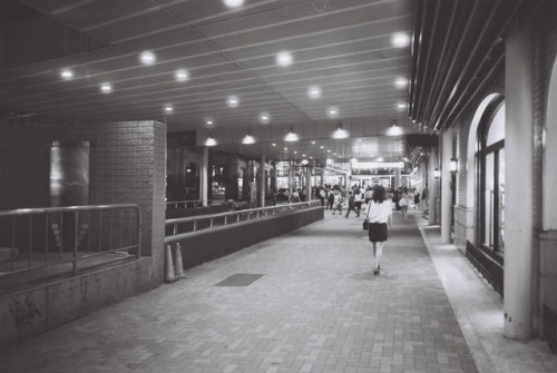 アグファ APX 100 135-36枚撮り [白黒フィルム]AGFA-image