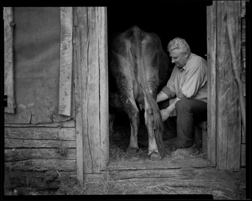 ベルゲール PANCRO 135-36枚撮り [35mm白黒フィルム] BERGGER-image