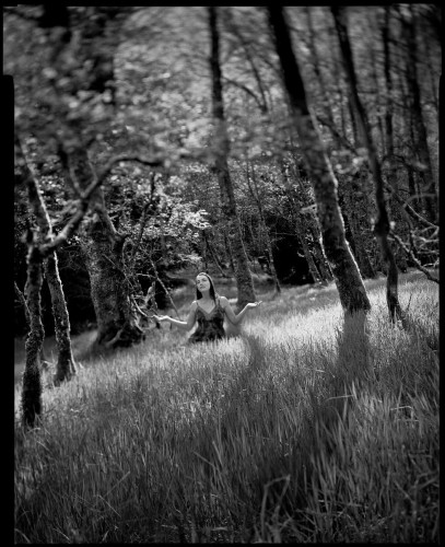 ベルゲール PANCRO 135-36枚撮り [35mm白黒フィルム] BERGGER