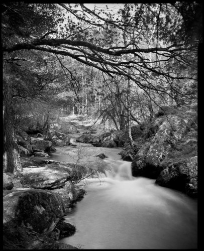 ベルゲール PANCRO 135-36枚撮り [35mm白黒フィルム] BERGGER