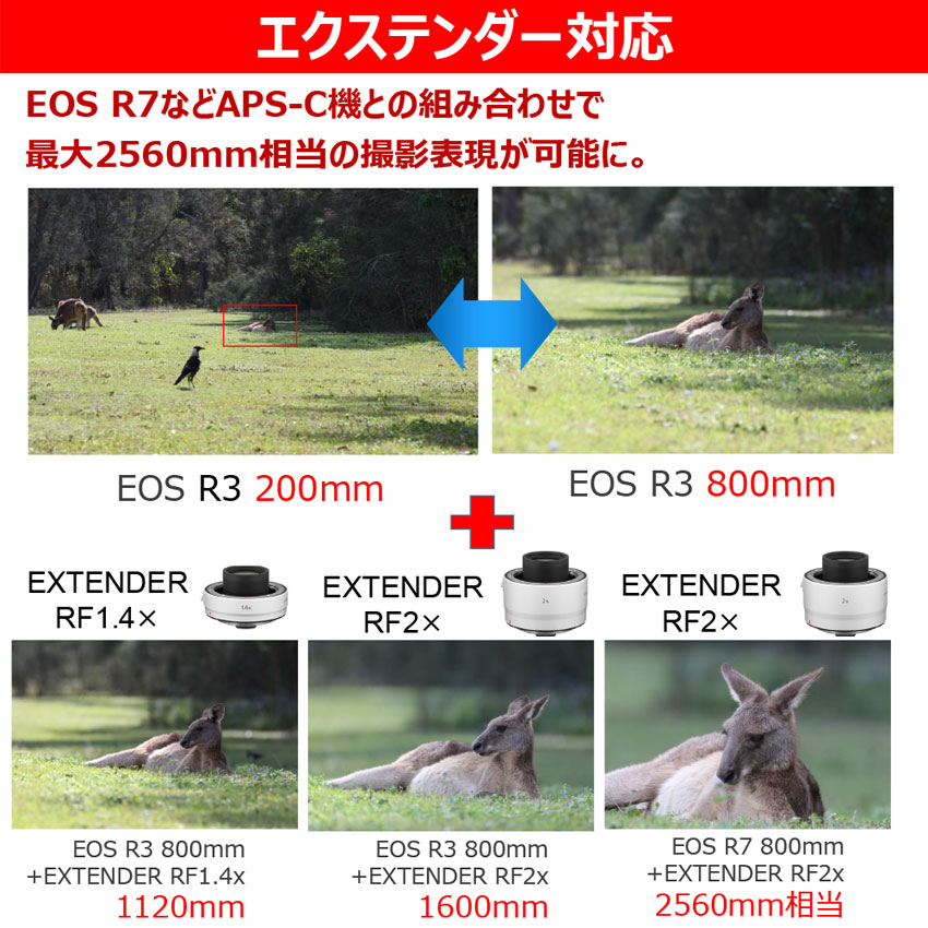 《予約商品》 キヤノン RF レンズ RF200-800mm F6.3-9 IS USM Canon