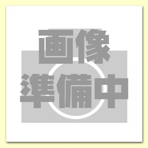 ミノックス カラーフイルム 現像  + SNS用データ作成 【ミノックス判】