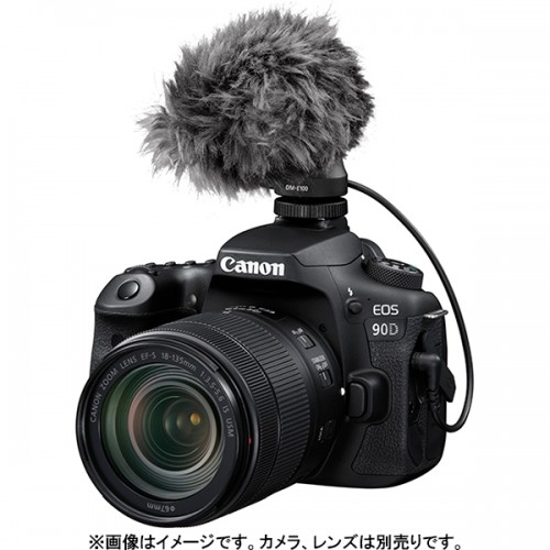 キヤノン Canon DM-E100 [ステレオマイクロホン]-使用例(写真のカメラ・レンズは別売りです)