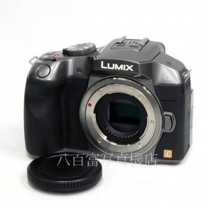 中古】 パナソニック LUMIX DMC-G6 シルバー ボディ Panasonic 中古