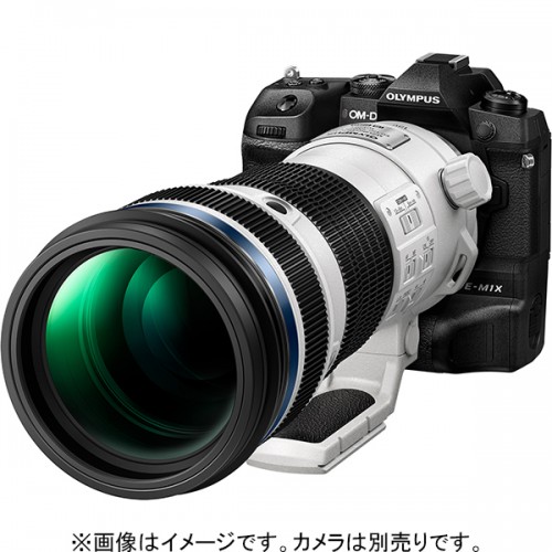 OM SYSTEM M.ZUIKO DIGITAL ED 150-400mm F4.5 TC1.25x IS PRO マイクロフォーサーズ-使用例【カメラ等は別売りです】
