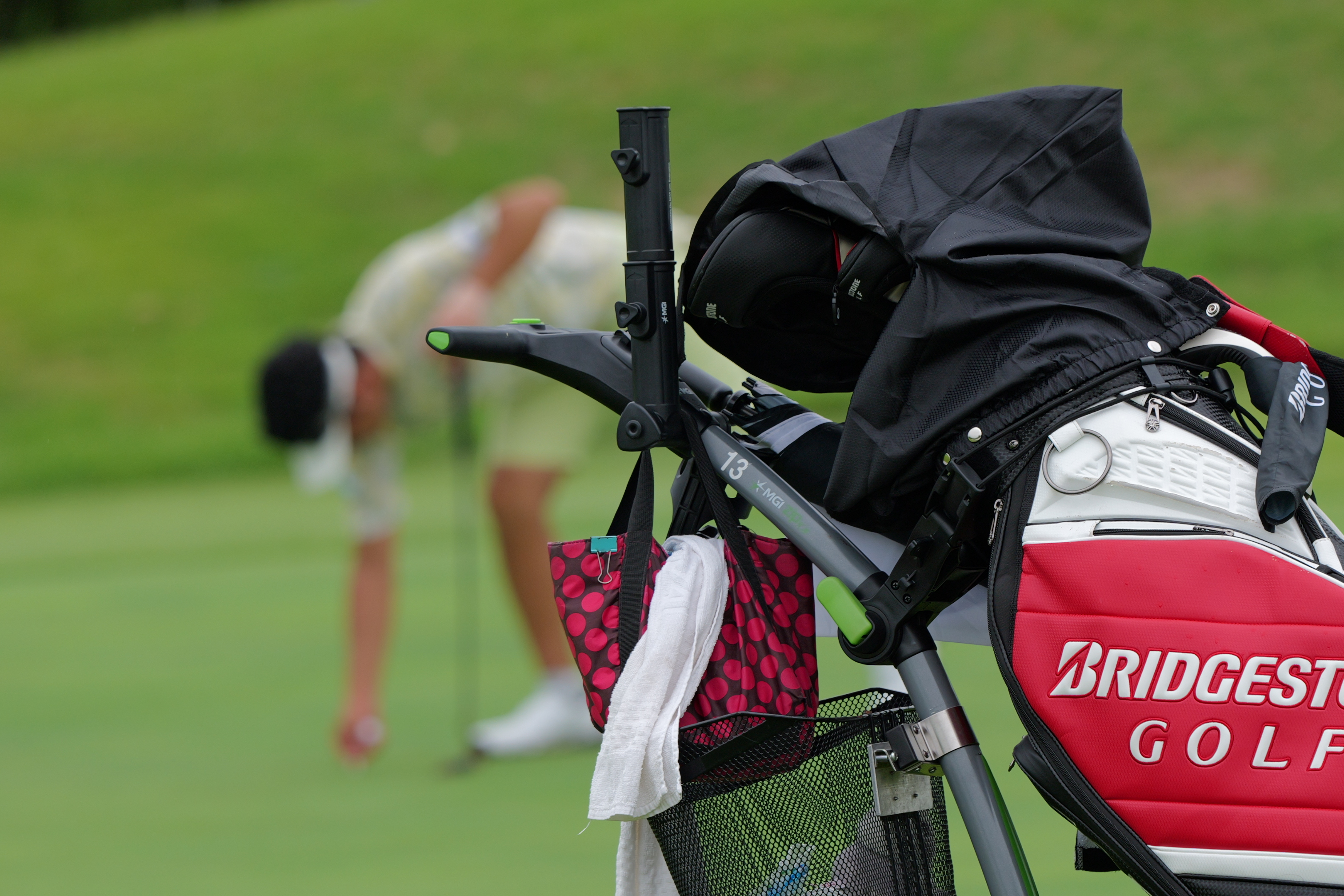 パナソニック LUMIX S 100-500mm F5-7.1 / ライカLマウント用 / Panasonic S-R100500