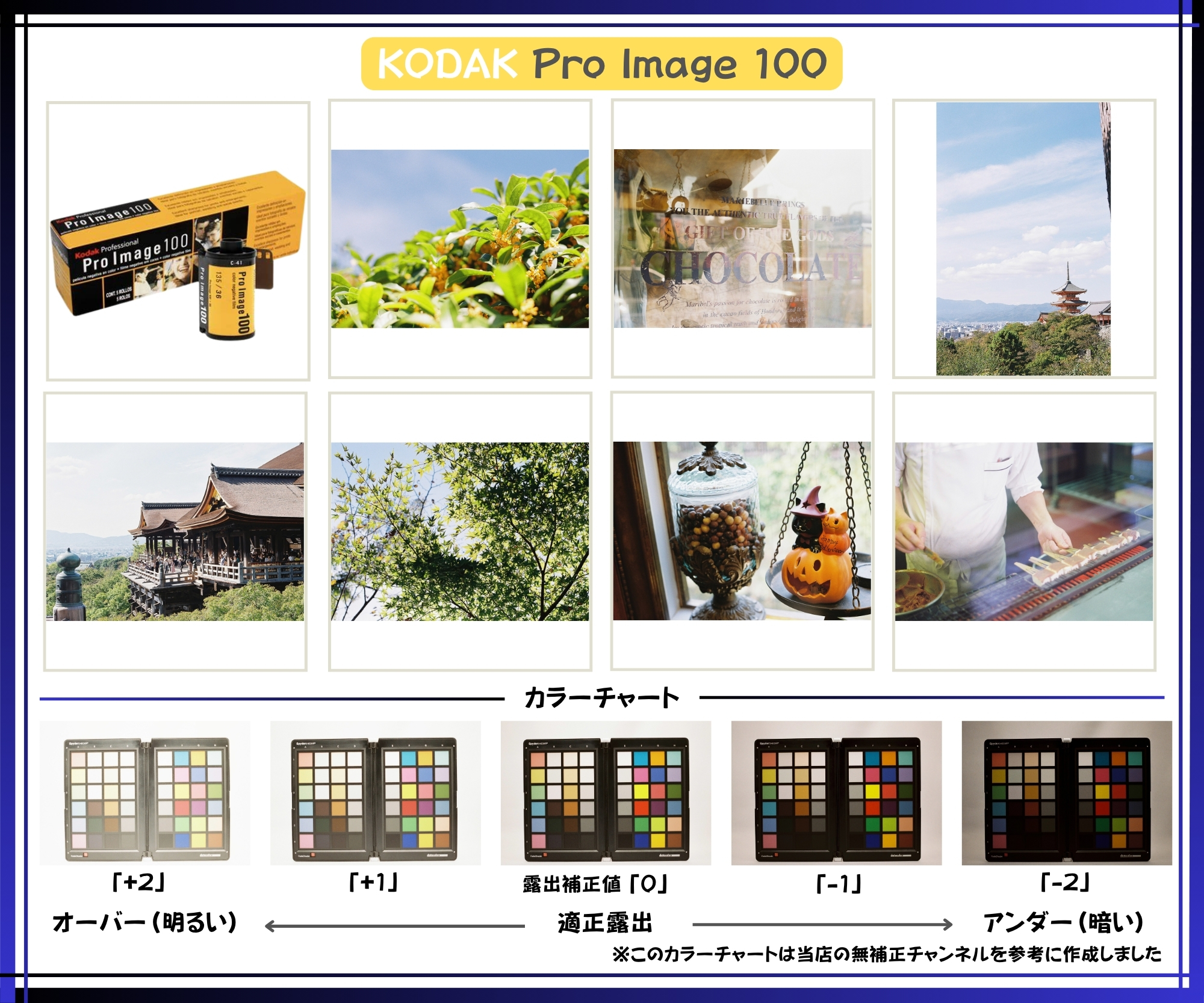 コダック ProImage 100 135 36枚撮り [5本パック] Kodak｜カメラのこと 