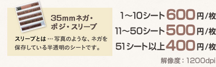 35mmネガ・ポジ・スリーブ スリーブとは…写真のような、ネガを保存している半透明のシートです。 1シート600円 解像度1200dpi