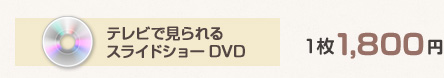 テレビで見られるスライドショーDVD