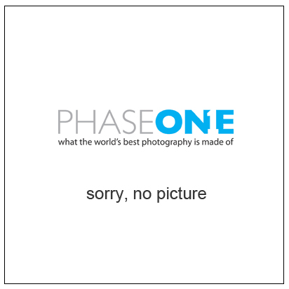 phase one フェーズワン firewire ケーブル 1 5m 4x6ピン カメラの